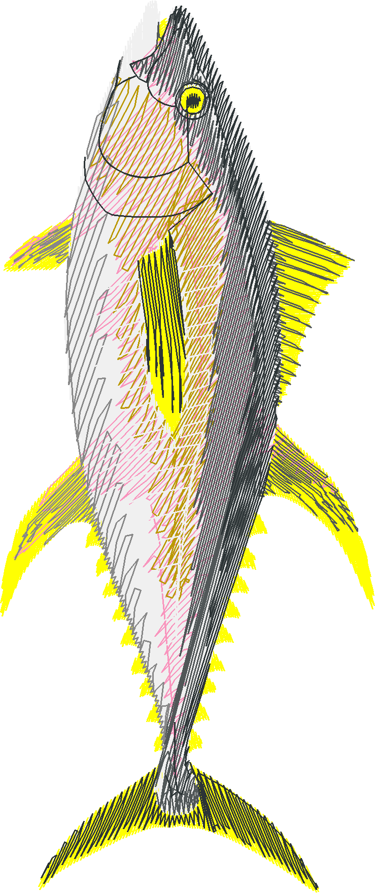 Fish 7  (9)