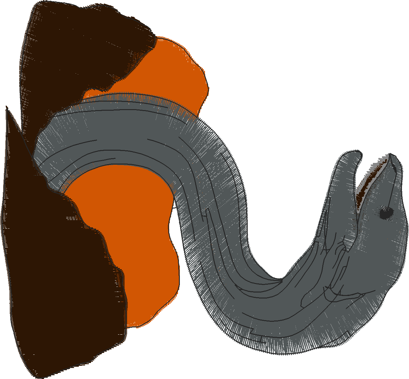 Fish 8  (12)
