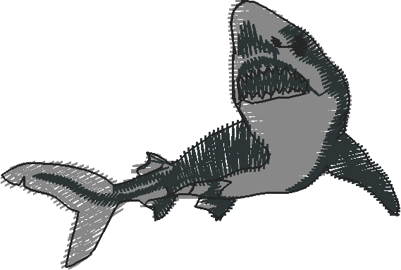 Fish 8  (8)