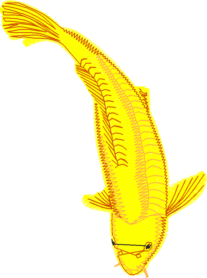 Fish 9  (10)