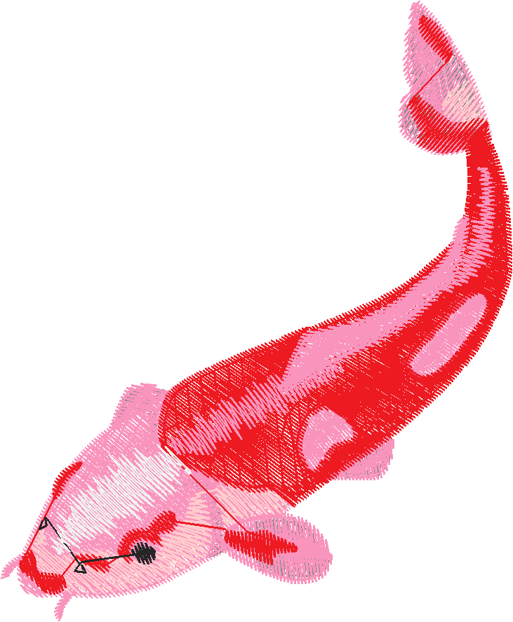 Fish 9  (14)