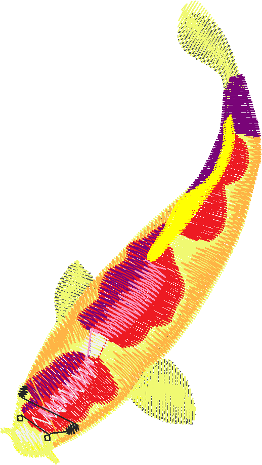 Fish 9  (17)