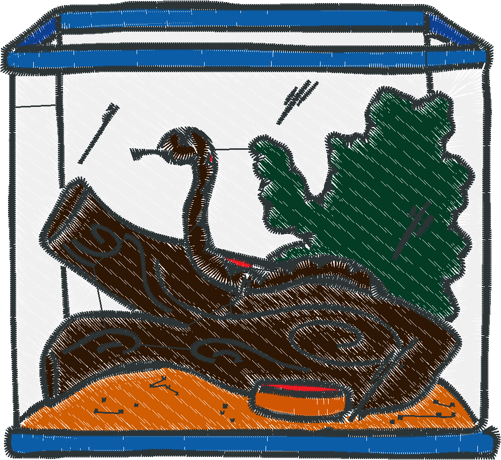 Fish Tanks 1  (3)