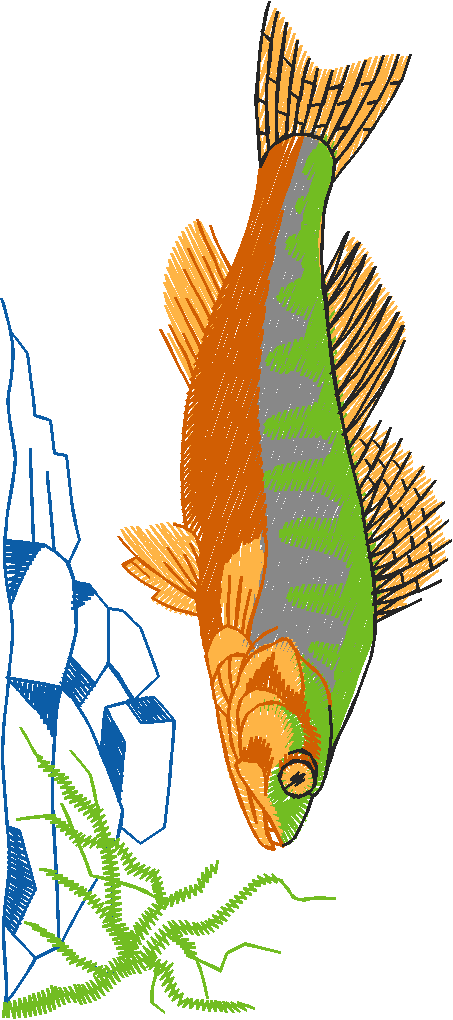 Fishing 1  (39)