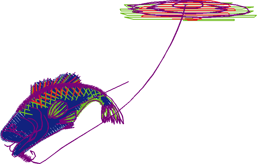 Fishy 1  (125)