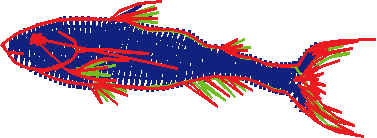 Fishy 1  (93)