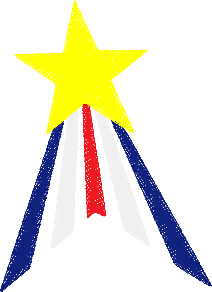 Flags 2  (48)