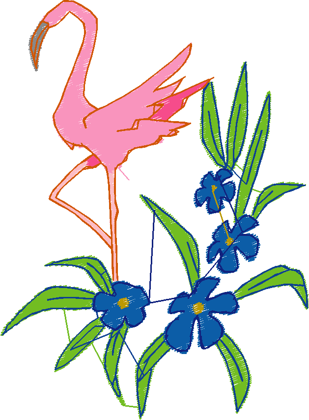Flamingos  (4)
