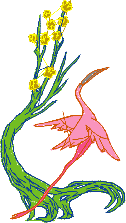 Flamingos  (5)