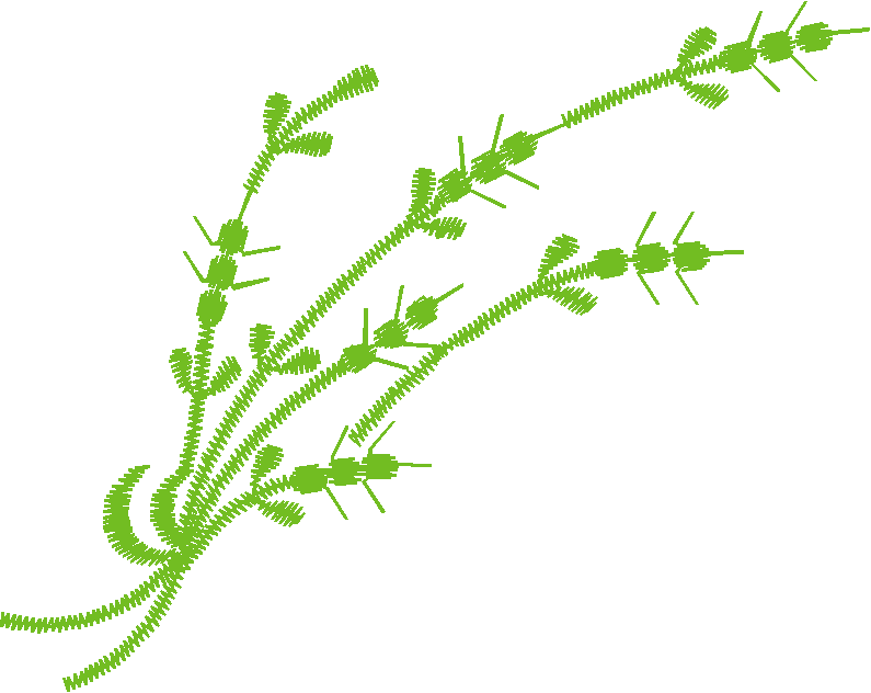 Floral 108  (6)