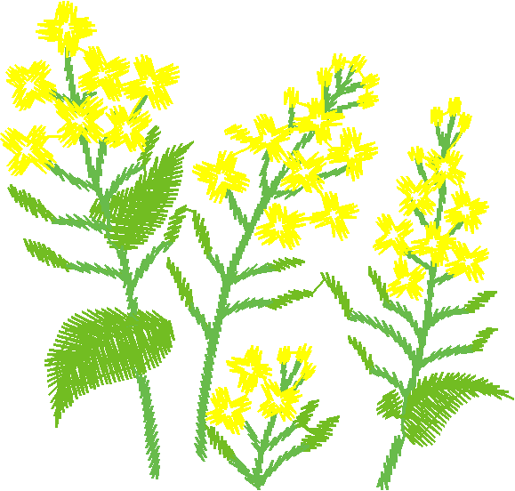 Floral 114  (9)
