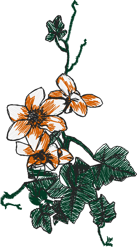 Floral 126  (20)