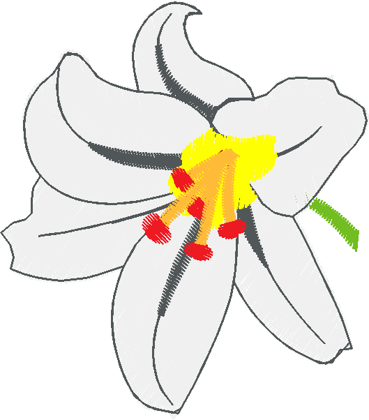 Floral 159 (77)
