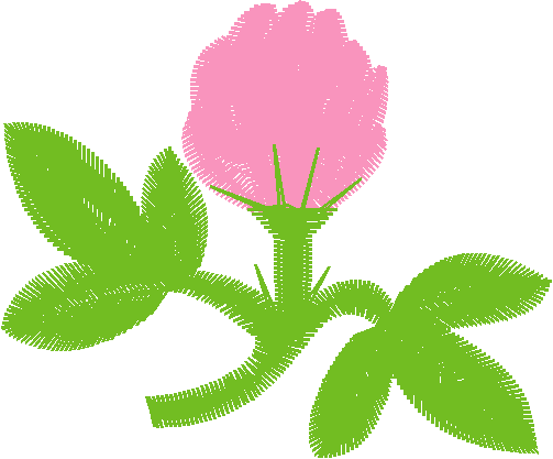 Floral 159 (81)