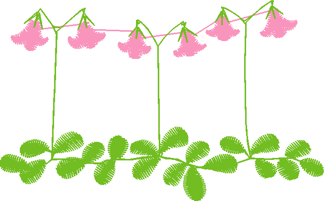 Floral 159 (82)