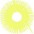 Floral 163 (38)