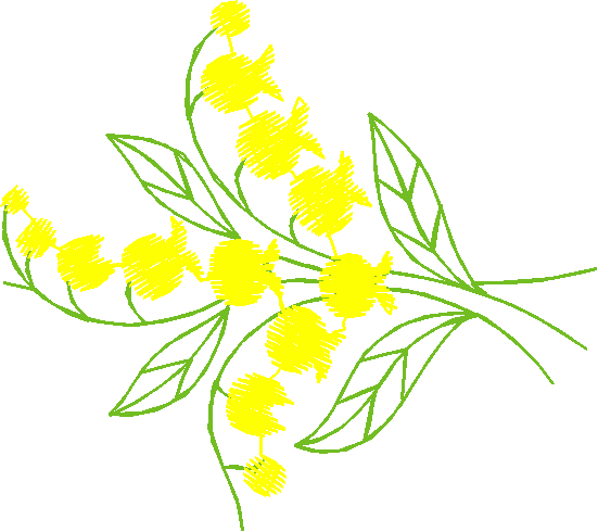 Floral 165 (22)