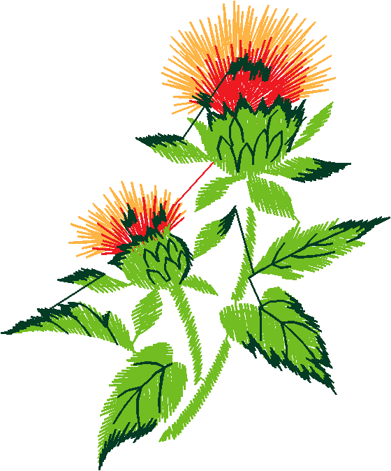 Floral 167 (48)