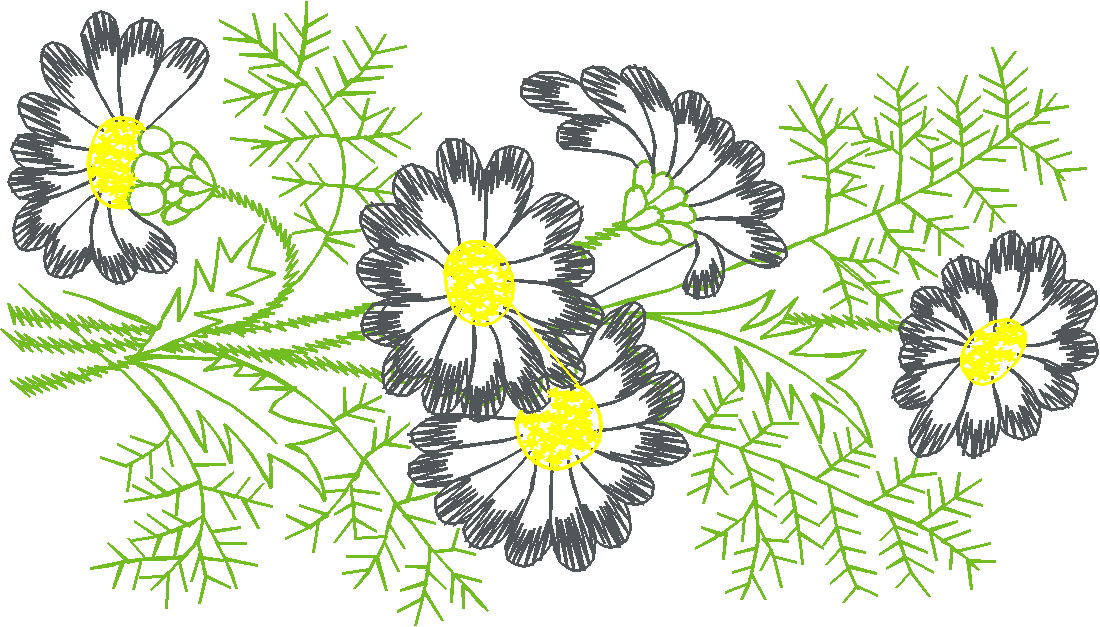 Floral 180 (48)