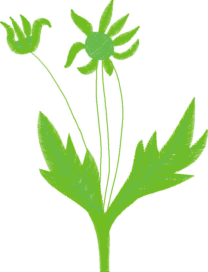 Floral 181 (51)