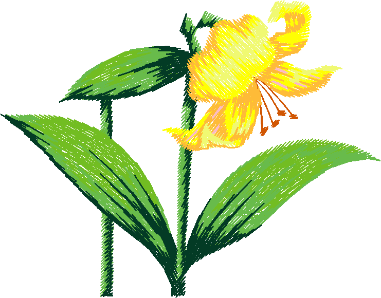 Floral Large 2  (3)