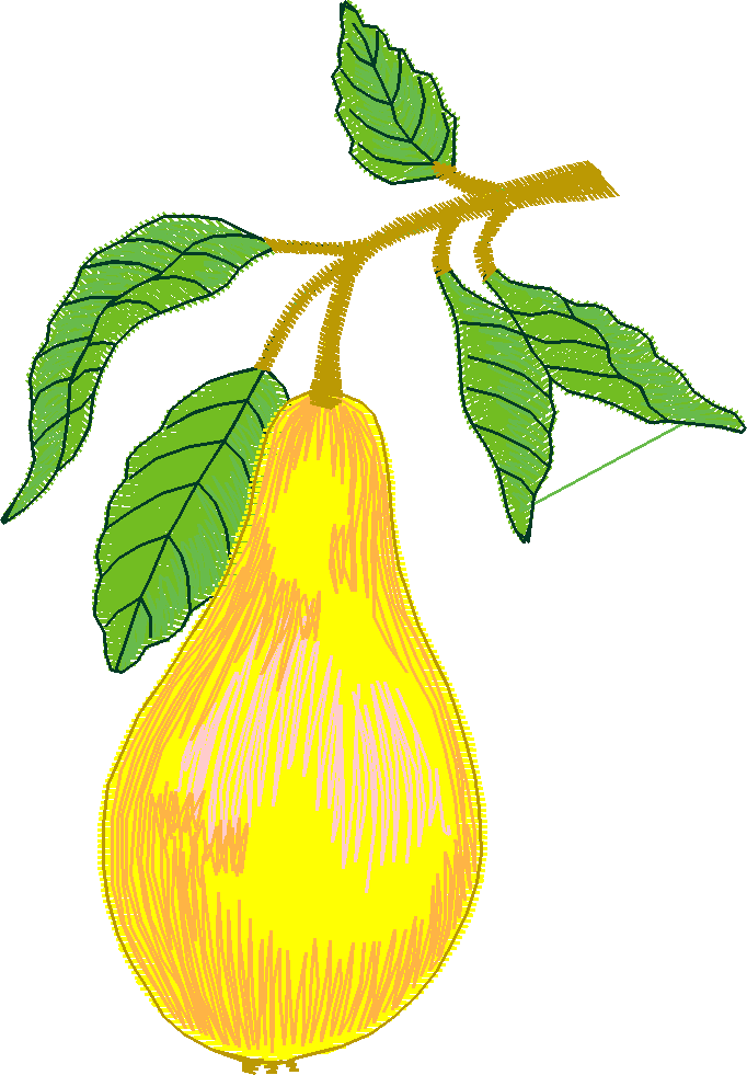 Fruit 1  (16)