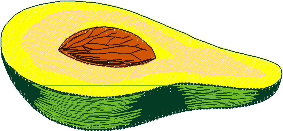 Fruit 1  (21)