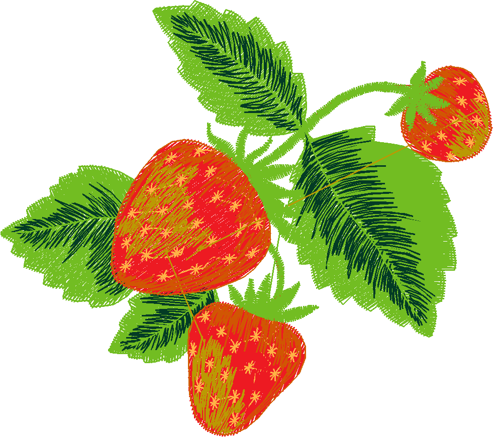Fruit 1  (3)