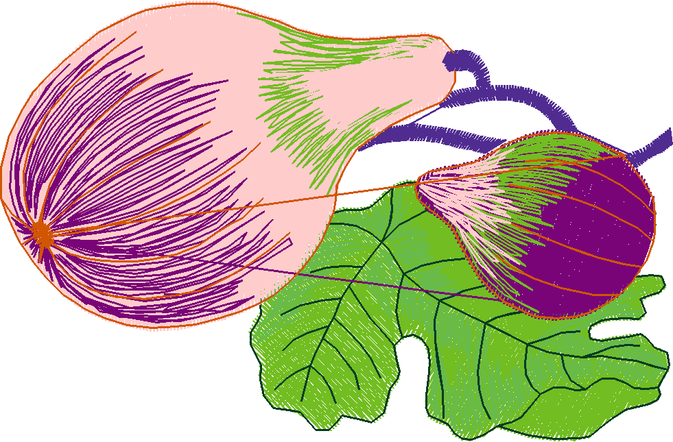 Fruit 1  (4)