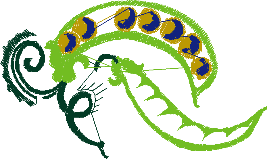 Fruit 10  (12)