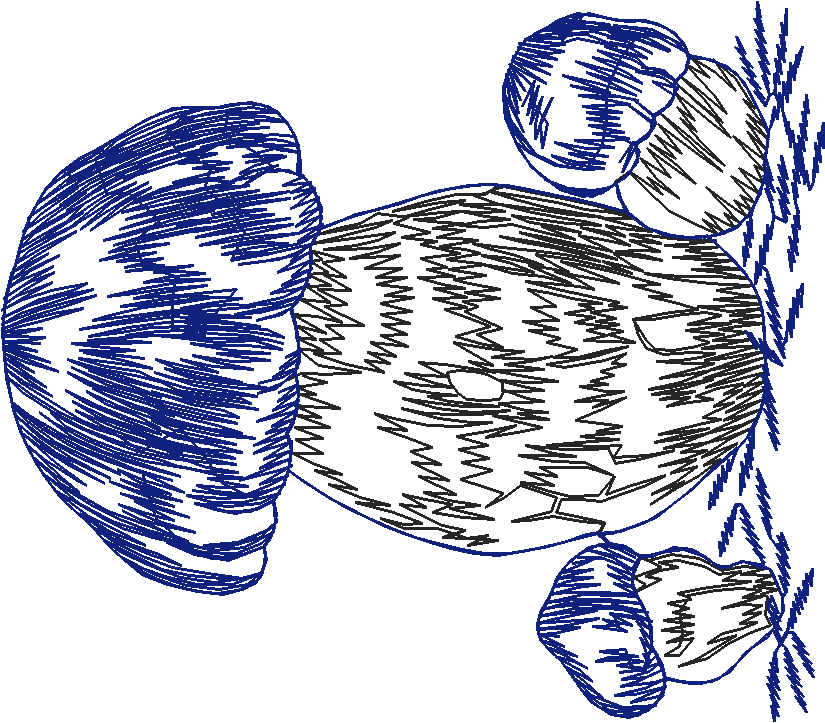 Fruit 3  (5)