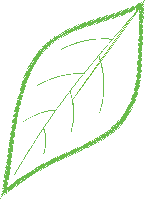 Fruit 7  (22)