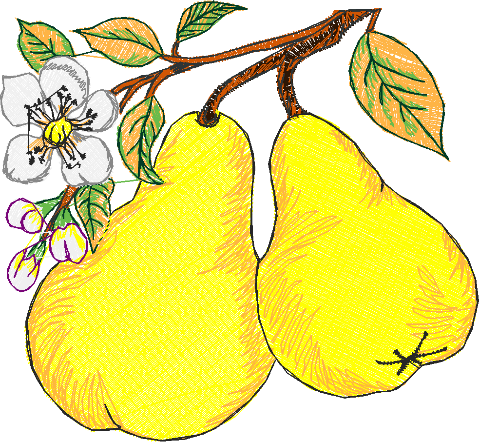 Fruit 8  (11)