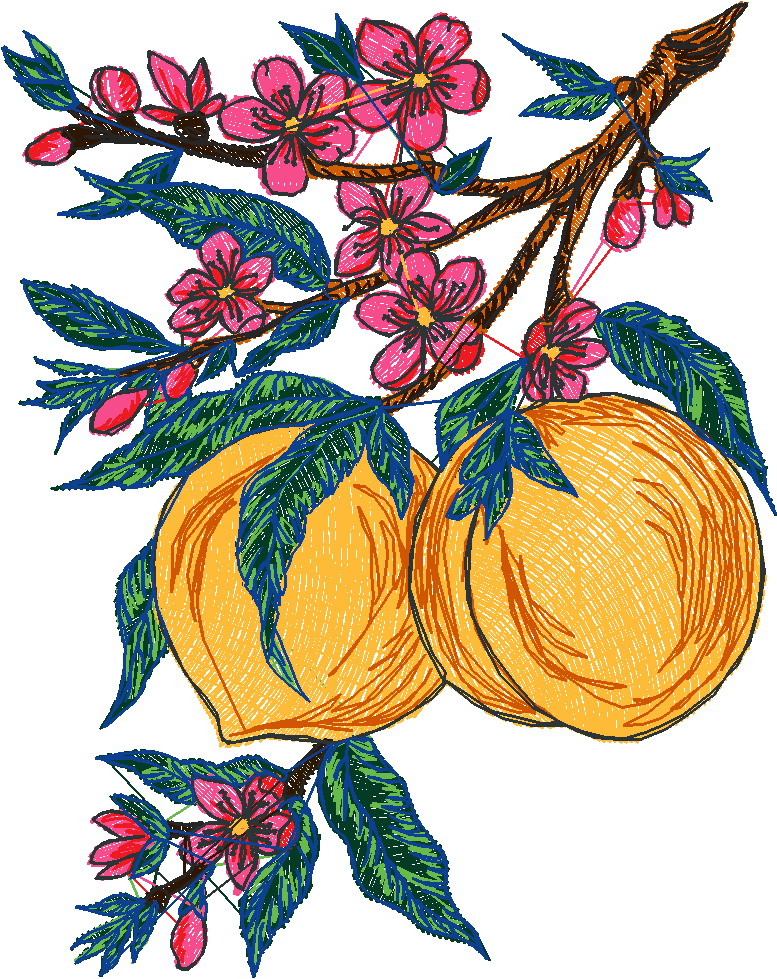 Fruit 8  (13)