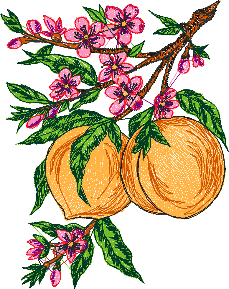 Fruit 8  (14)
