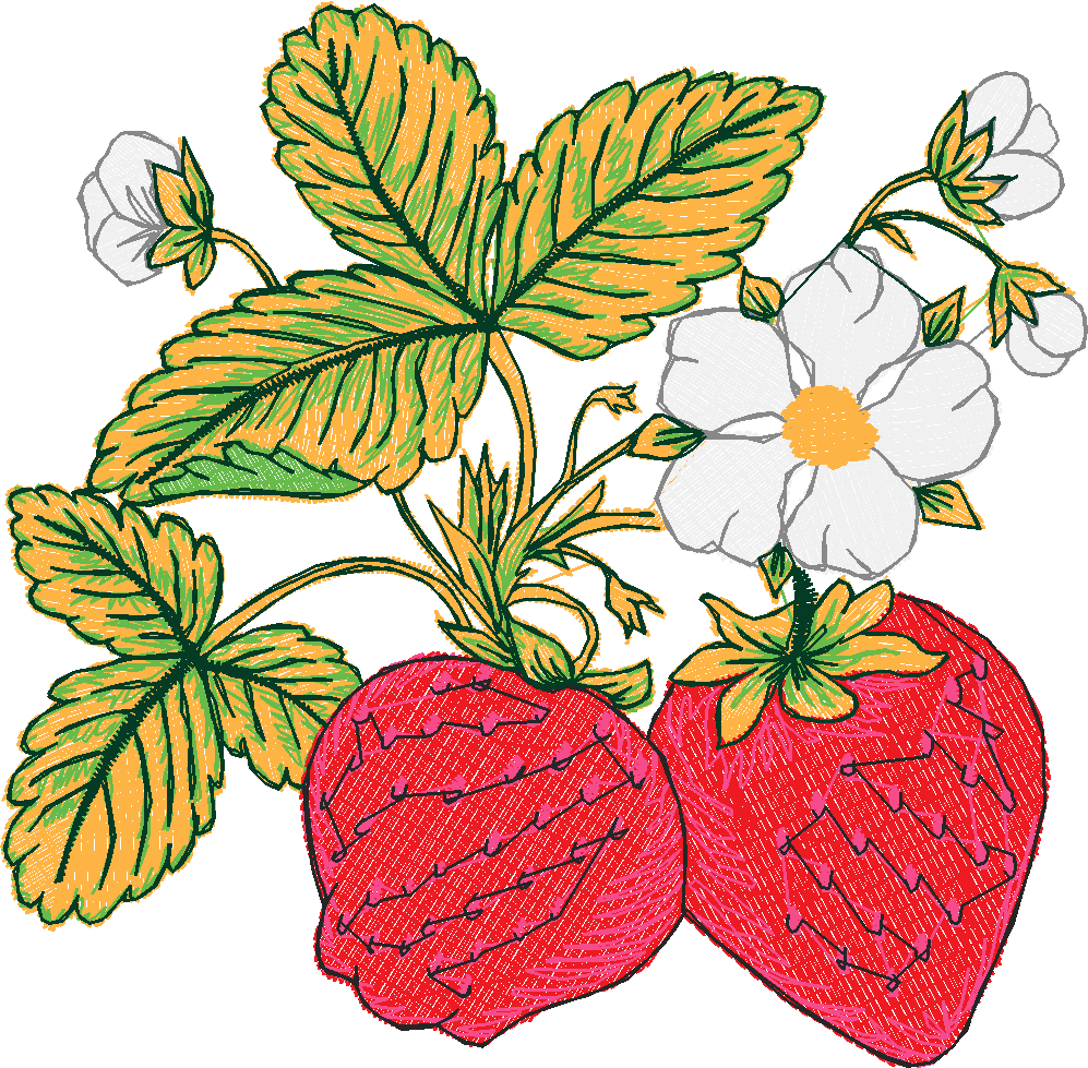 Fruit 8  (20)