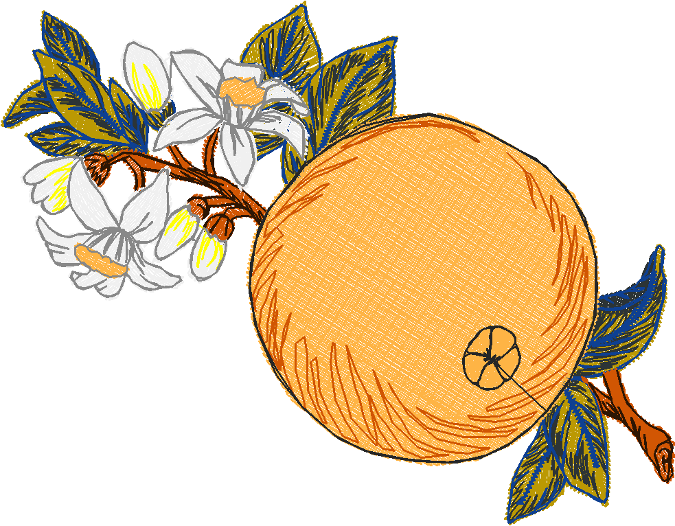 Fruit 8  (25)