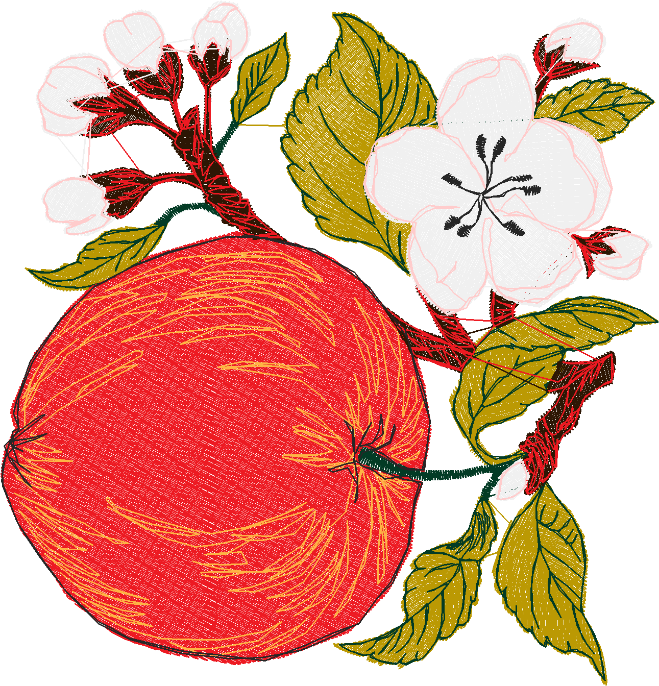 Fruit 8  (3)