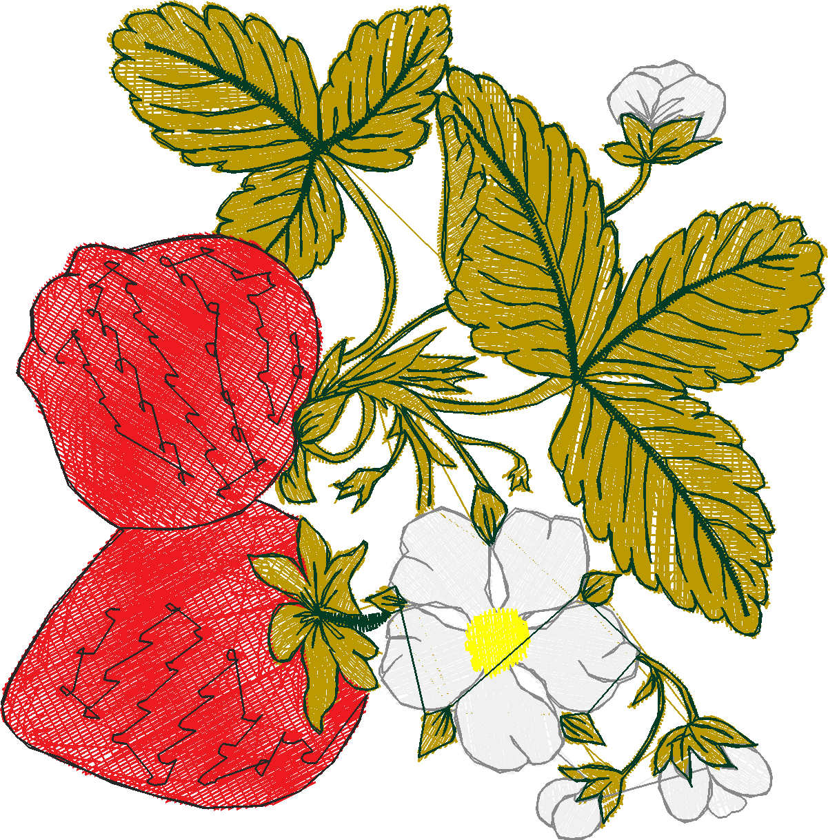 Fruit 8  (4)