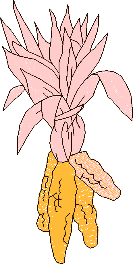 Fruit & Vegetables 13  (6)
