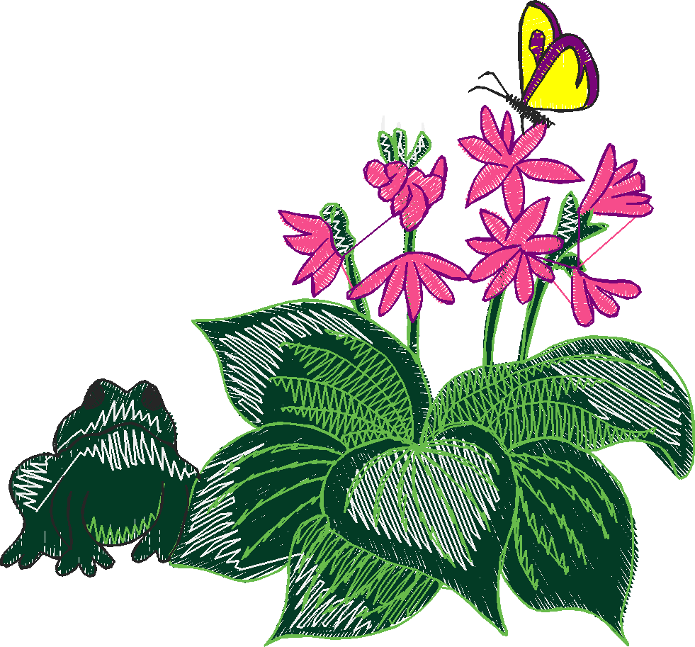 Garden 16  (19)