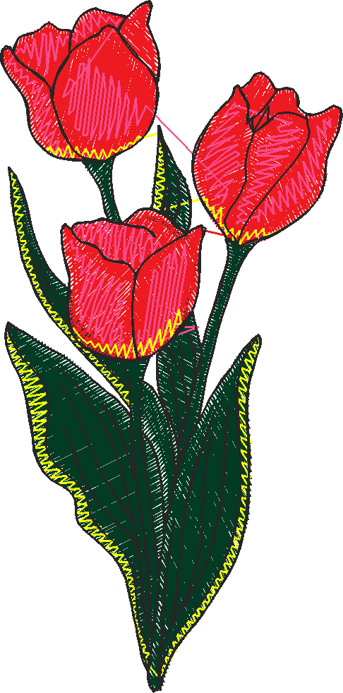 Garden 16  (7)