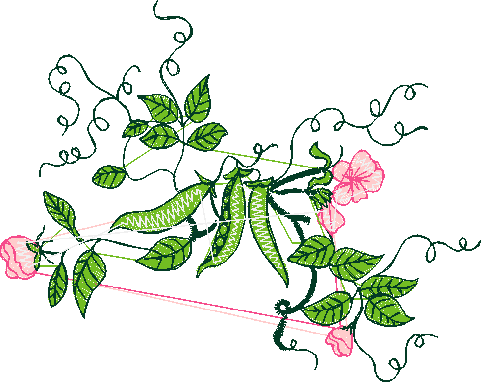 Garden 2  (16)