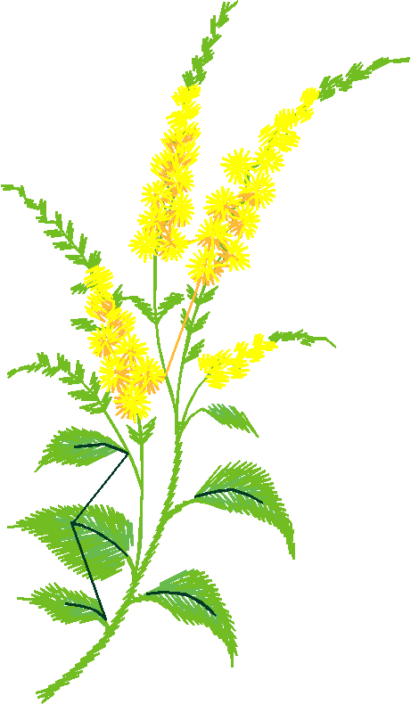 Garden 6  (15)