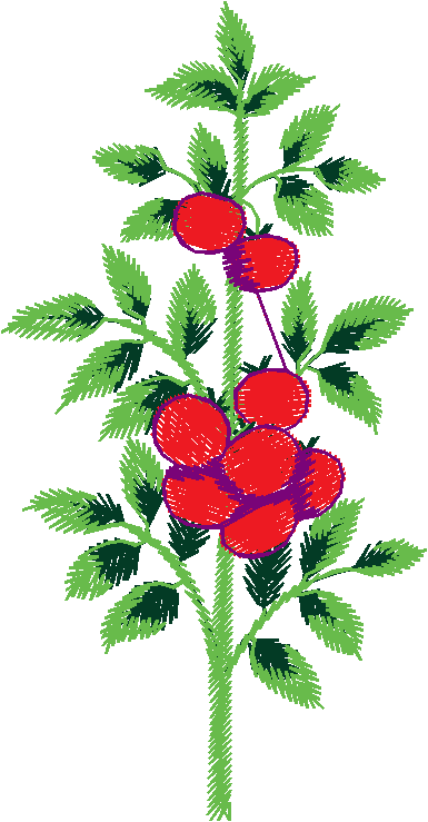 Garden 6  (17)