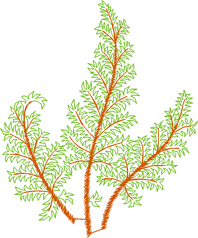 Des01 18