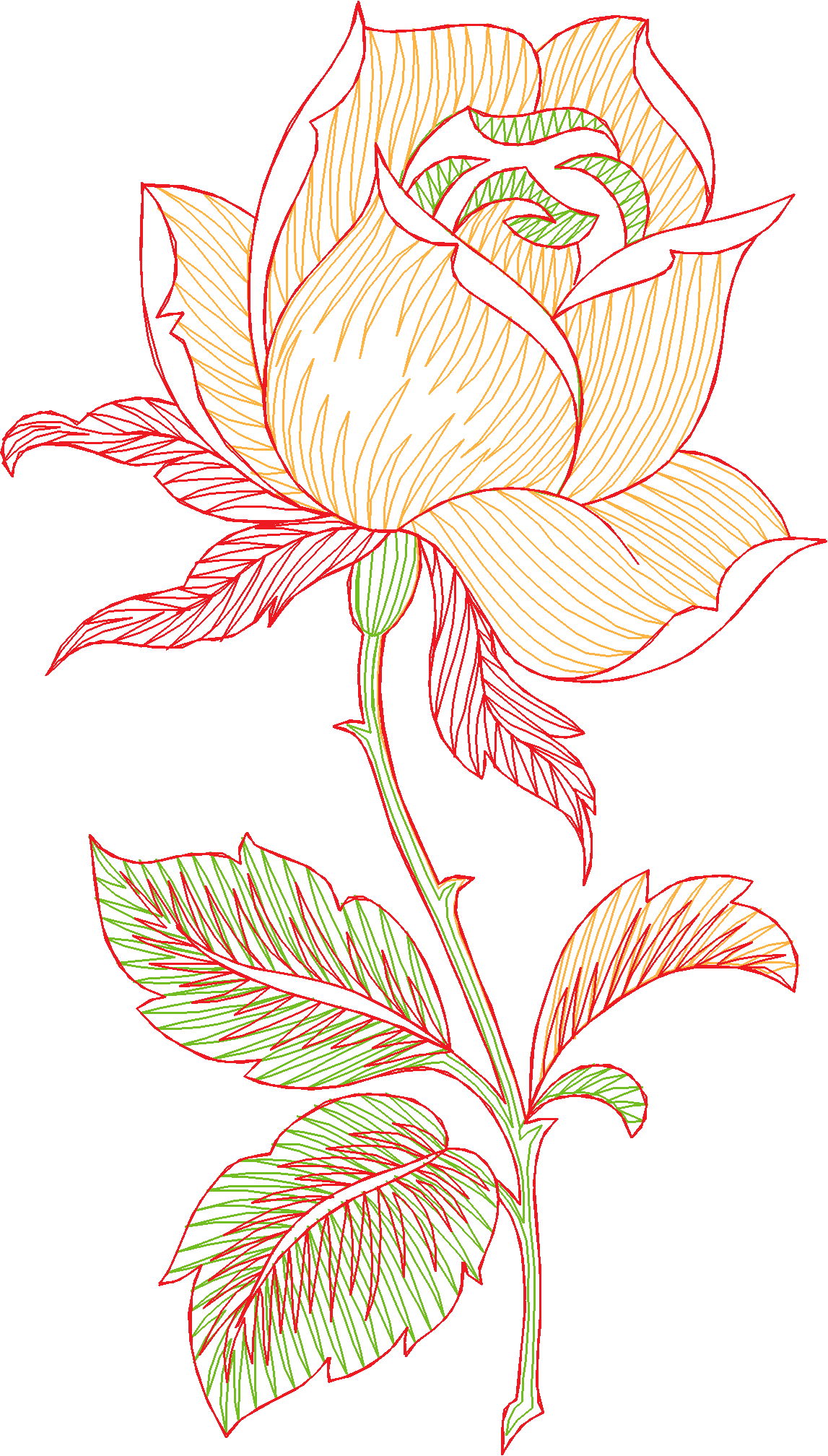 Des02 11