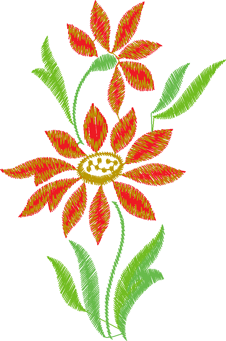 06