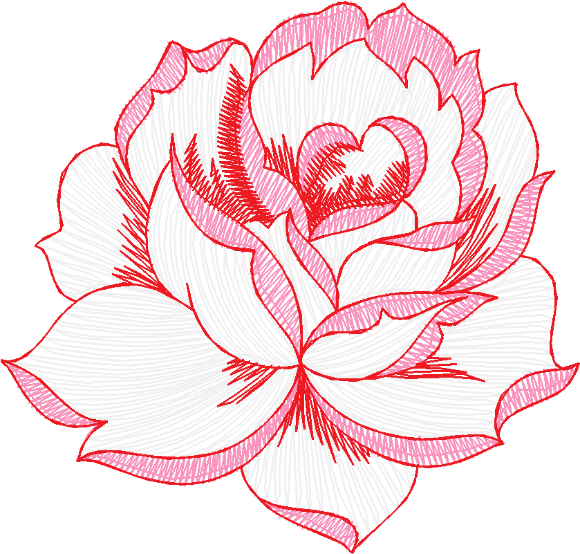 062016