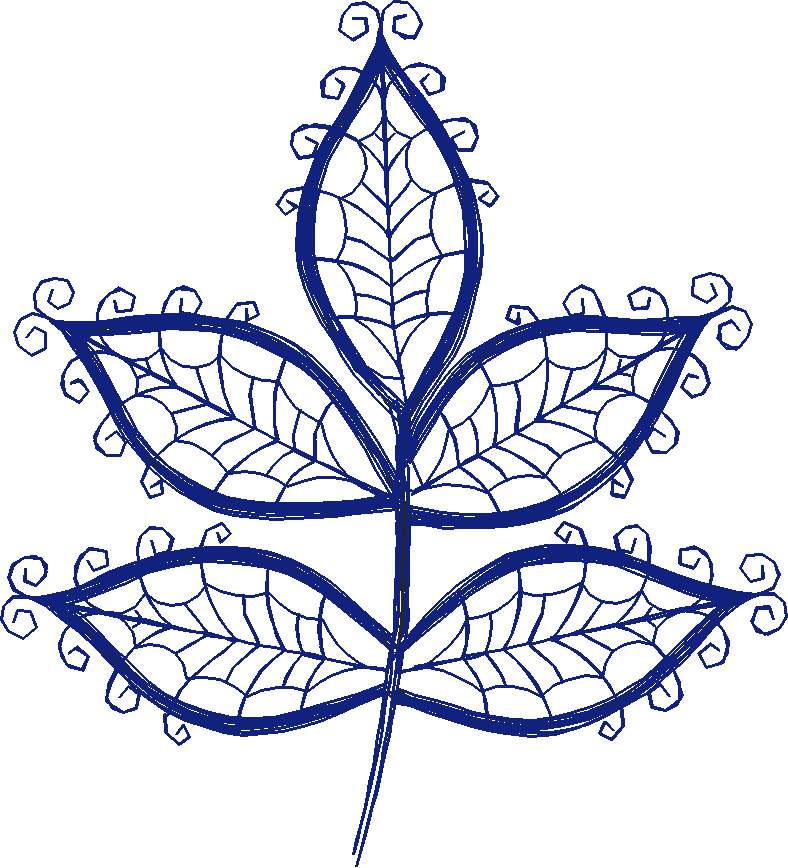 5leaf